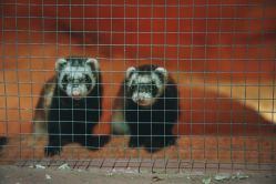 -酷嗒动物文化乐园(cutezoo西溪乐天城店)