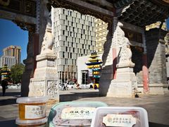 -顺城金记卤鸡·清真