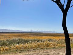 -野鸭湖国家湿地公园