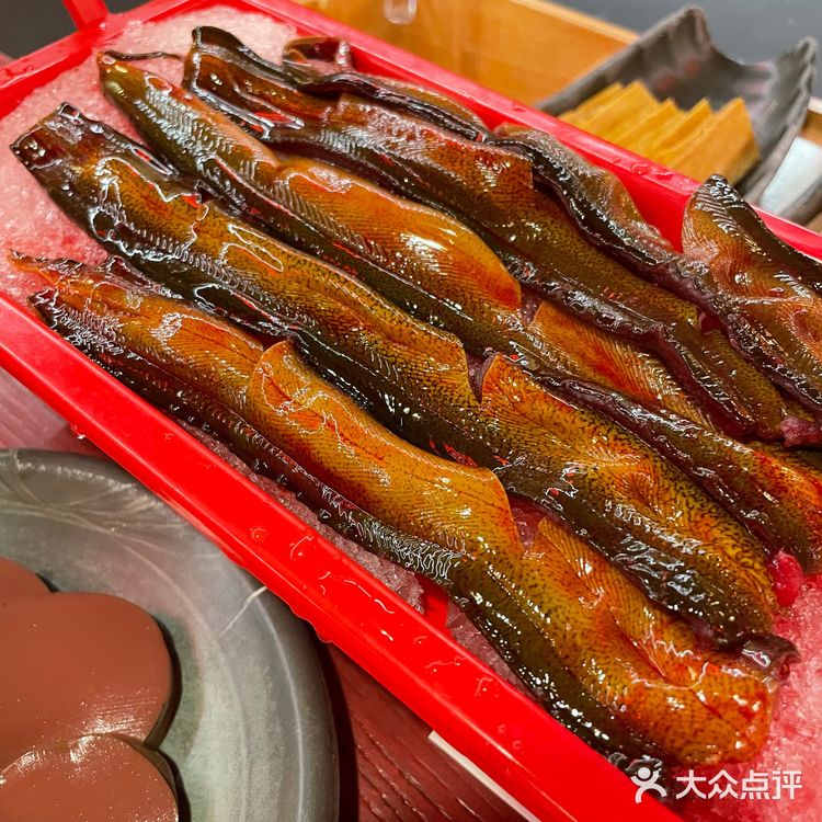 火爆朋友圈的川式火锅——谭鸭血老火锅