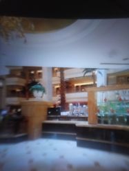 -上海大酒店·婚宴年会宴会厅
