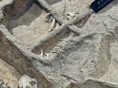 -洛阳周王城天子驾六博物馆