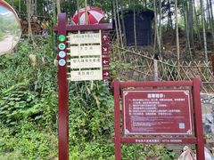 -罗田天堂寨风景区
