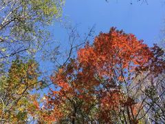-叠溪松坪沟景区