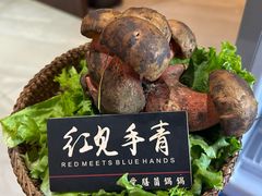 -爱膳菌锅锅(阳南店)