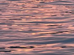 -西湖外事游船(湖滨二公园外事游船码头)