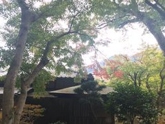 -ステーキハウス吉池