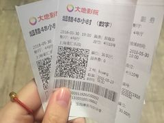 -大地影院(上海南汇店)