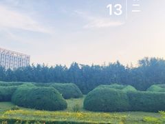 -滨河世纪广场公园