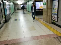 -大望路(地铁站)