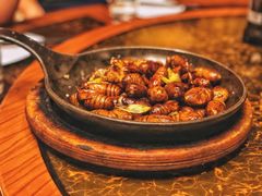 -老江南春·中国龙菜(衡山路店)
