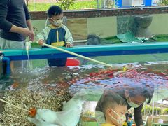 -新地休闲农场