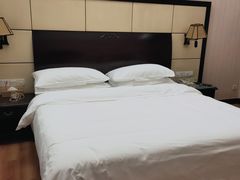 -维也纳国际酒店(深圳新洲店)