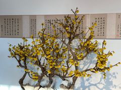 -颐和园