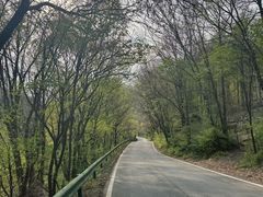 -三块石国家森林公园