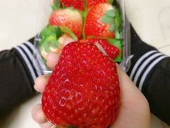 -百果园(金沙路店)