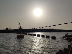 -南汇嘴观海公园