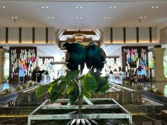 -西双版纳融创皇冠假日度假酒店