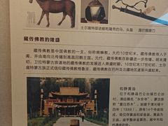 -巴音郭楞蒙古自治州博物馆