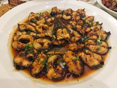 红烧河鳗-顺风海鲜港(金玉兰店)