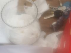 -武汉花鸟市场