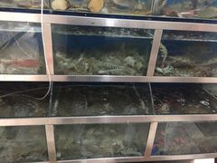 -宾朋海鲜特色美食餐厅·纯手工鲅鱼水饺(兴海路店)