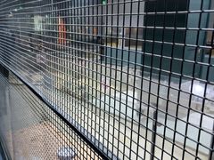 -上海大自然野生昆虫馆(东方明珠·爬宠昆虫探索中心)