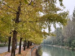 -成都市活水公园