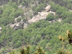 -沂蒙山旅游区龟蒙景区