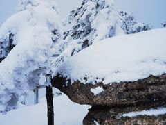 -王顺山国家森林公园