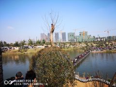 -枫香湖儿童公园