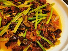火爆鳝片-铁公鸡·四川料理(天环广场店)