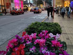 -海港城