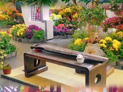 -杭州植物园