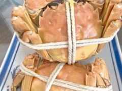 -乡乐园蟹庄·阳澄湖农家乐
