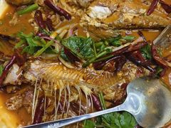 -瑞琳阿尔泰冷水鱼(康源财富中心店)