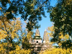 -北京石刻艺术博物馆(五塔寺)