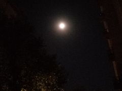 -卢米埃影城(住总万科杜比全景声激光店)