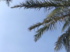 -瑶湖郊野森林公园