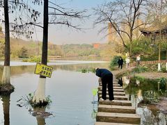 -重庆彩云湖湿地公园