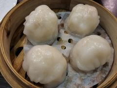 添运来虾饺皇-添运来(茶园奥园广场店)