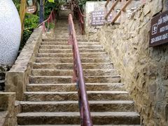 -100蛋泥浆浴