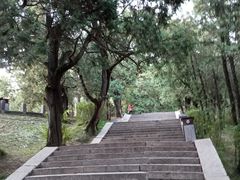 -黄帝陵