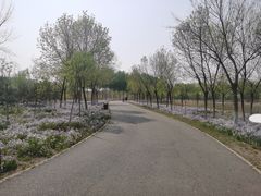 -东郊湿地公园