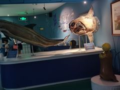 -烟台海昌鲸鲨海洋公园