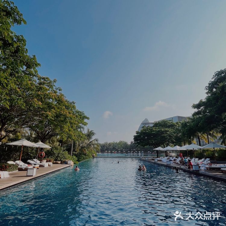 🌴 三亚艾迪逊· 私人沙滩边的椰林也太好拍了