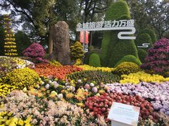 -南山植物园