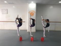 -西安小天鹅艺术团(金花路校区)