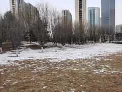 -大望京公园