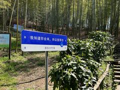 -宁波浙东大竹海景区